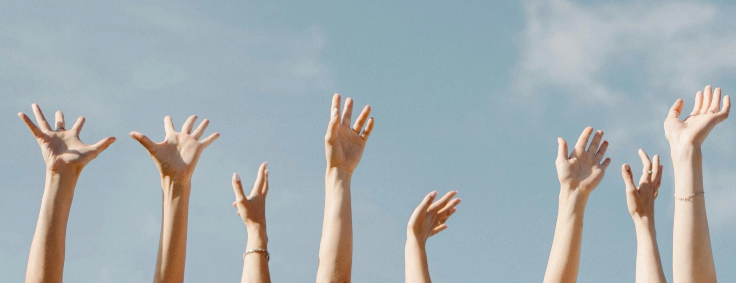 Katrin Schäfer-Wirtz – Bildung und Förderung – Hand hält Symbol für Behinderung über Pflanzenhintergrund